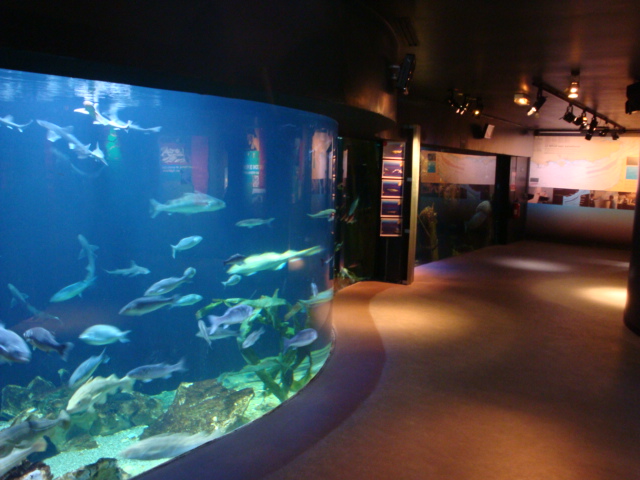Salle Aquariums de Maréis à Étaples